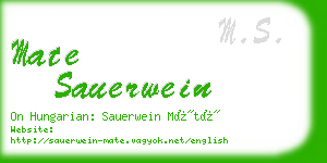 mate sauerwein business card